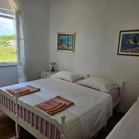 Zdenka Apartament Dinjiška